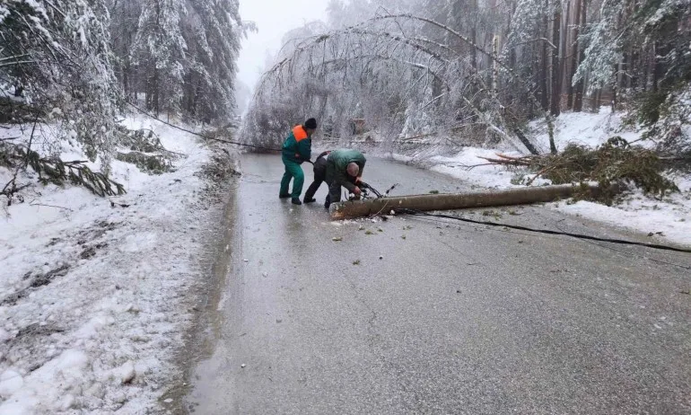 Паднал електрически стълб блокира движението към Самоков - Tribune.bg