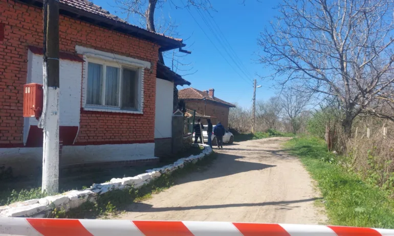 Глутница кучета нападна и уби жена в Долна Оряховица - Tribune.bg
