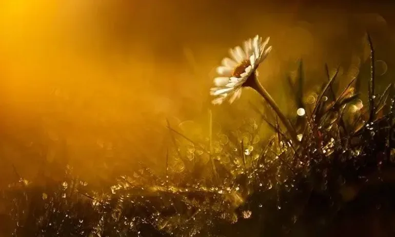 Времето днес: Слънчево с временни превалявания - Tribune.bg