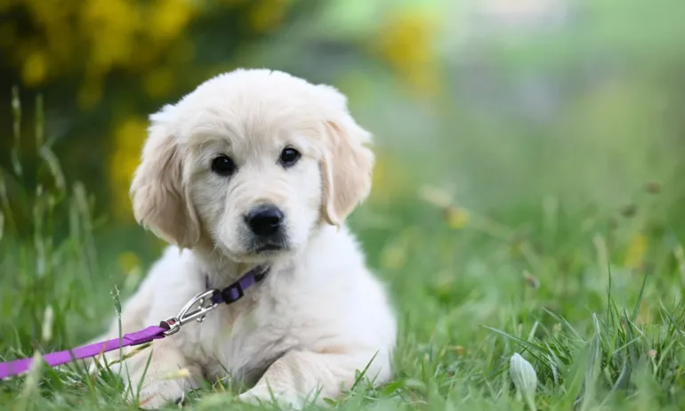 Пролетни температури и повече слънце до събота - Tribune.bg