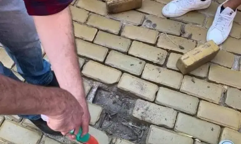 ‼️Внимание, внимание!‼️ Спешно се търсят спонсори за организиране на спонтанни протести - Tribune.bg