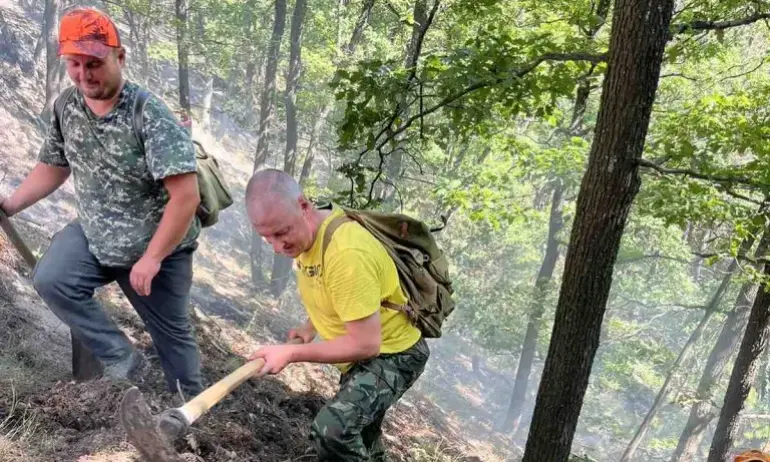 Локализираха двата пожара край Асеновград - Tribune.bg