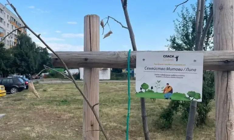Загинали са дръвчета засадени от Спаси София в район Връбница (СНИМКИ) - Tribune.bg