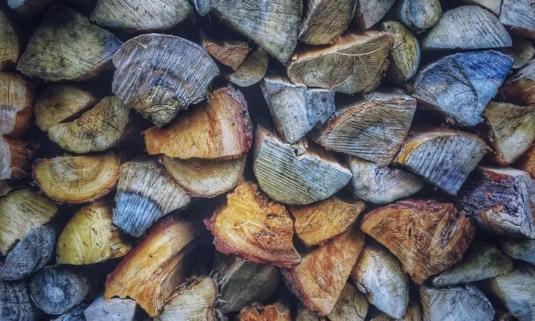 Дървата за огрев няма да поскъпват заради проблемите от африканската чума - Tribune.bg
