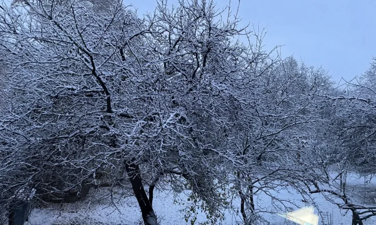 Жълт код за валежи и сняг в 11 области - Tribune.bg
