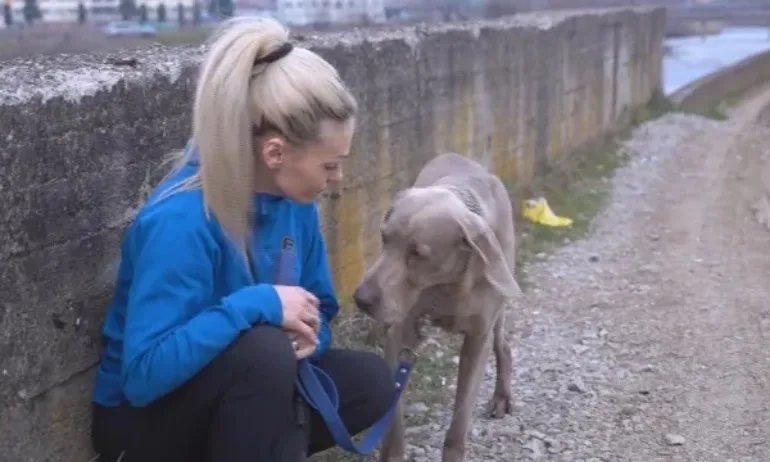 Историята на Арес и Христина: Жена скочи в дълбок 7 метра преливник след кучето си - Tribune.bg