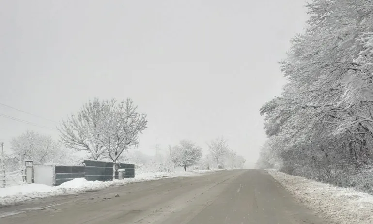АПИ: Най-тежка остава ситуацията в Добрич, няма бедстващи хора - Tribune.bg