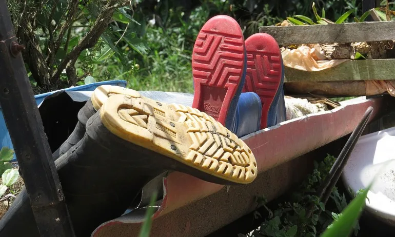 Читателски сигнал – некоректни работодатели подлъгват хора за работа в чужбина - Tribune.bg