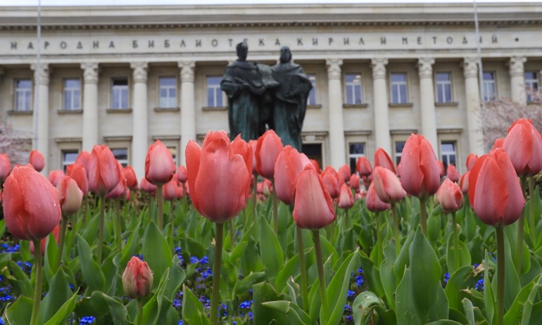 Слънчево и топло, температурите ще достигат 24 градуса - Tribune.bg