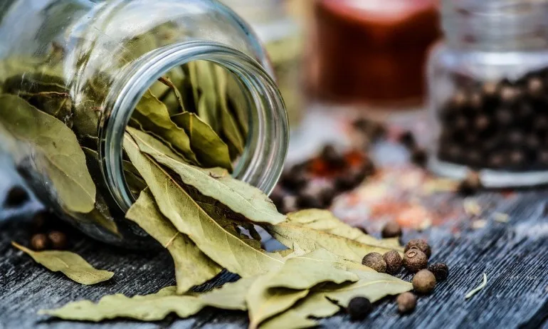 Бързо отслабване с дафинов лист - Tribune.bg