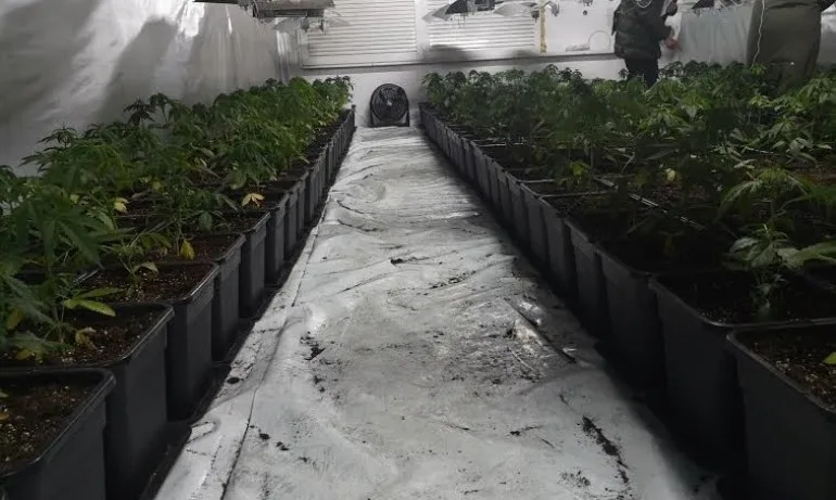 Разбиха нарколаборатория в Ловешко - Tribune.bg