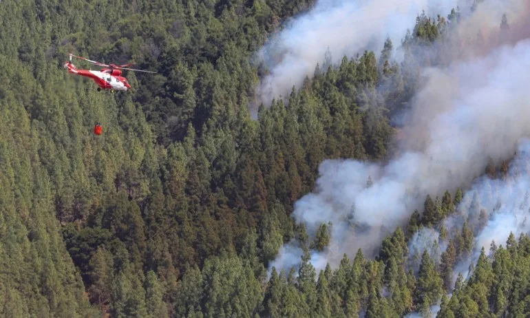 Огромен пожар на Канарските острови - Tribune.bg
