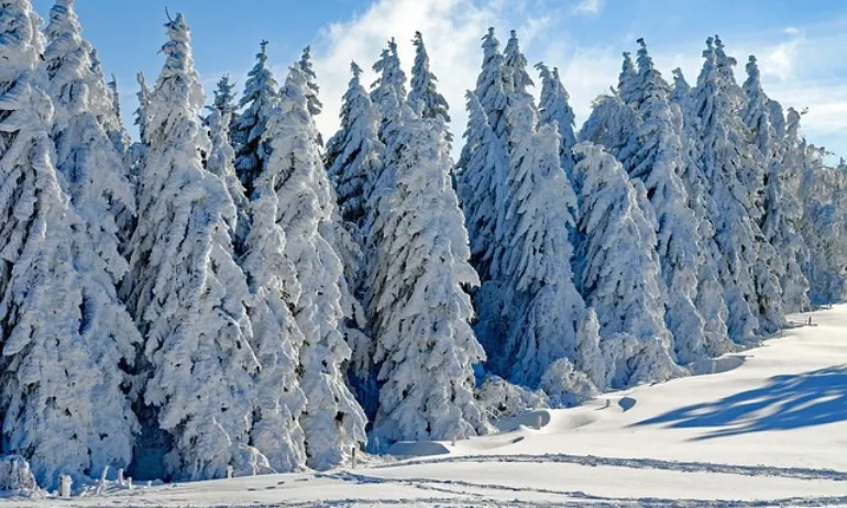 Жълт код за валежи от дъжд и сняг в 21 области - Tribune.bg