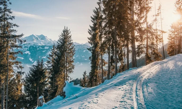Остава топло за февруари, с температури до 16 градуса - Tribune.bg