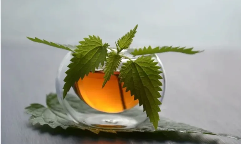 Сиропи от цветове на глухарче и на коприва - Tribune.bg