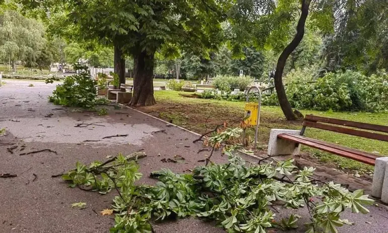 Опасно време в цялата страна. Жега на юг, ураганен вятър и градушки на запад - Tribune.bg