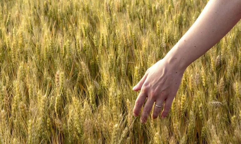 11 мощни утвърждения за щастлив живот - Tribune.bg