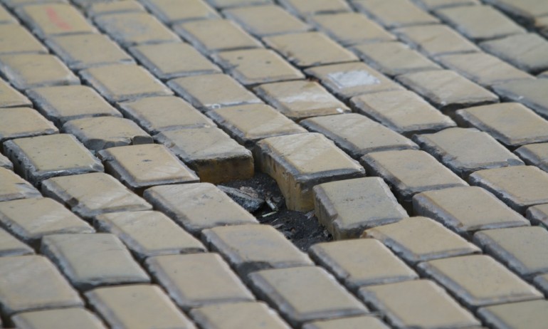 От редакционната поща: Какво е характерно за новия биологичен вид Спасиалист - Tribune.bg