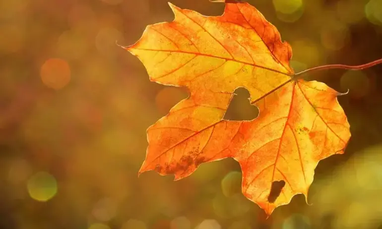 Предимно слънчево днес с температури до 17 градуса - Tribune.bg