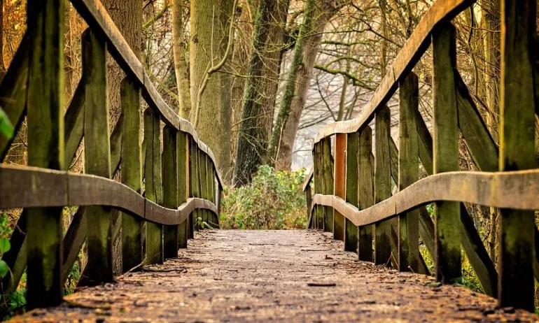 Притча за 5-те мъдреци – за предназначението и жизнения път на човека - Tribune.bg