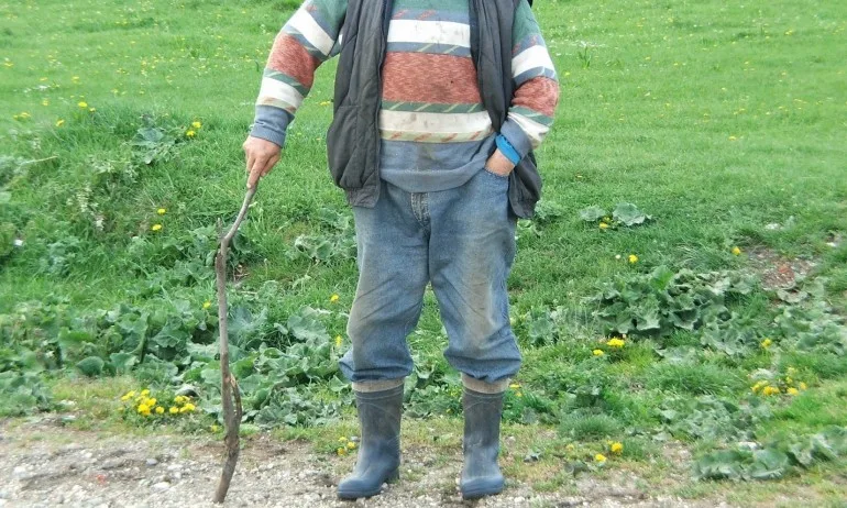 Нежеланите - Tribune.bg