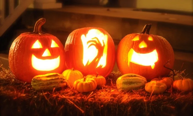 В сайтовете за споделяне изобилства от снимки на оранжеви тикви с издълбан мъжки жезъл - Tribune.bg