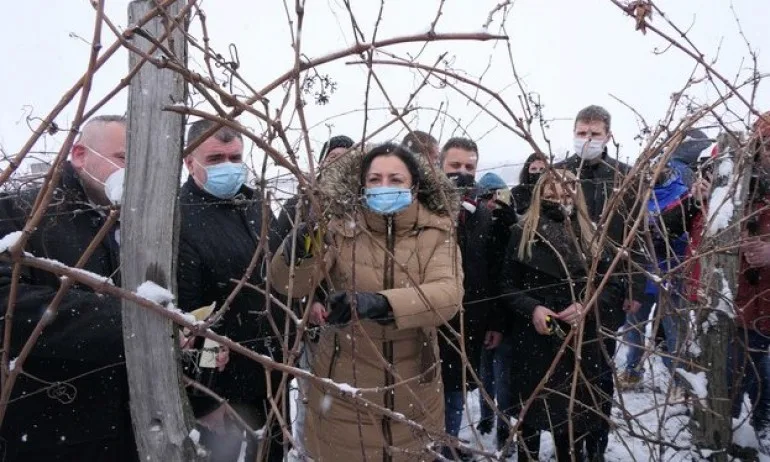 Танева: През изминалата година лозаро-винарският сектор беше подпомогнат с над 60 млн. лева - Tribune.bg