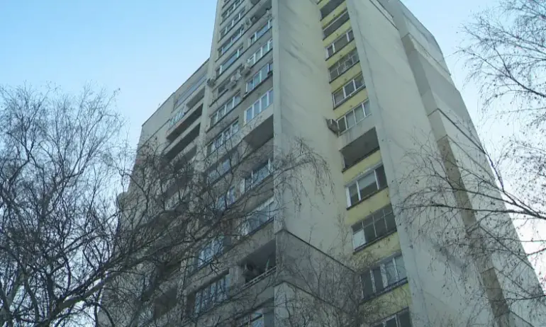 Двете деца са изведени от дома на арестуваната за убийство Габриела - Tribune.bg