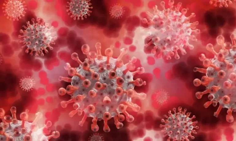 САЩ с рекорден брой нови случаи на маймунска едра шарка - Tribune.bg