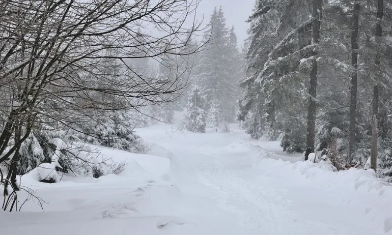 Опасно време: Сняг, студ и виелици днес - Tribune.bg