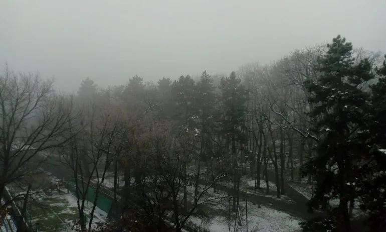 Готвят 5-годишен проект за подобряване качеството на въздуха в София - Tribune.bg