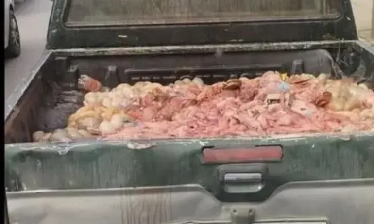 Калоян Методиев за случаите на некачествена храна: Ние да не сме измет. Това е масово отровителство - Tribune.bg