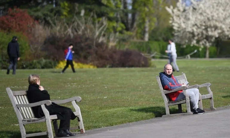Швеция използва кокоши тор срещу посещенията в парковете - Tribune.bg