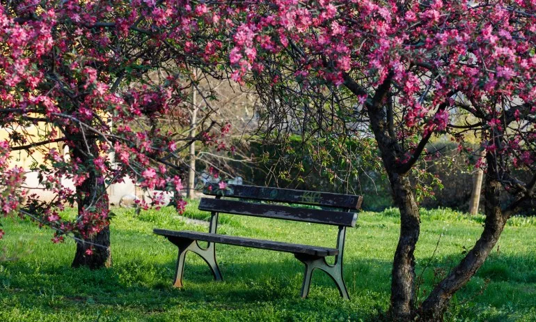 Валежите ще спират, температурите по-ниски с 10 градуса - Tribune.bg