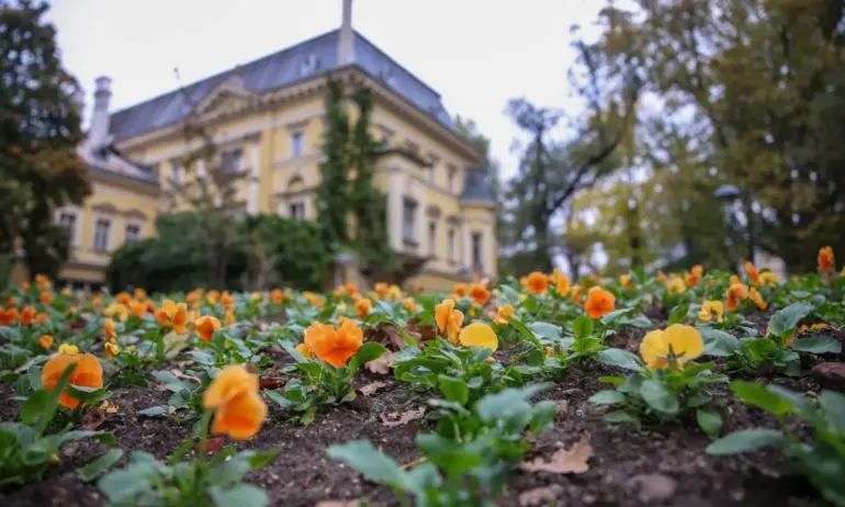 Слънчево и топло време с високи температури - Tribune.bg