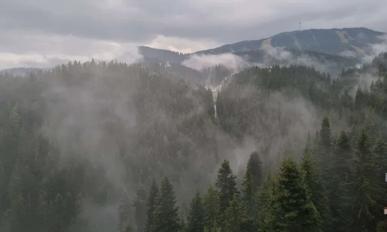 Отново ледена сутрин, през деня между 0 и 5 градуса - Tribune.bg