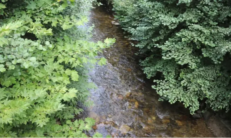 Край на безводието: Река Искрецка отново тече в коритото си, след като пресъхна преди дни - Tribune.bg
