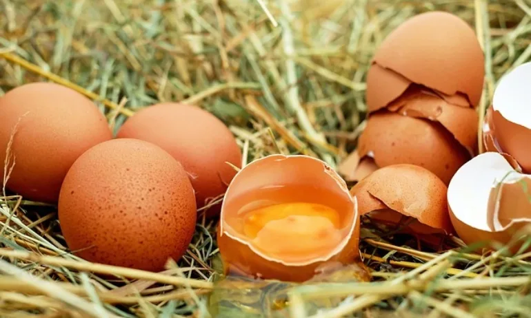 С 30% са поскъпнали яйцата, производители искат помощ от държавата - Tribune.bg
