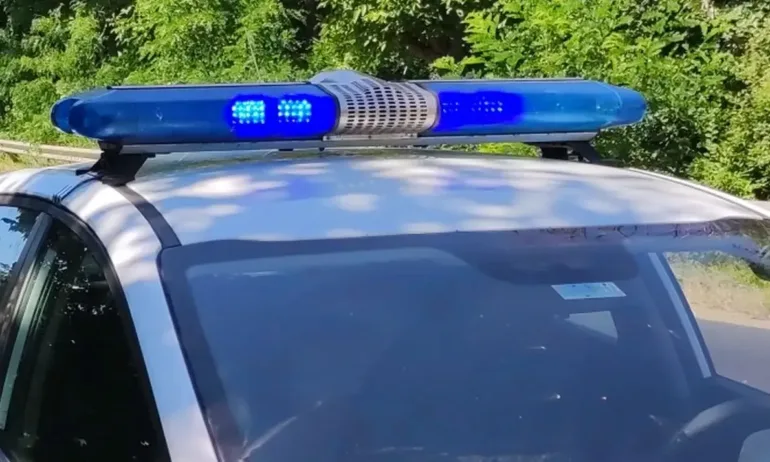 Тройно убийство в пловдивското село Рогош - Tribune.bg