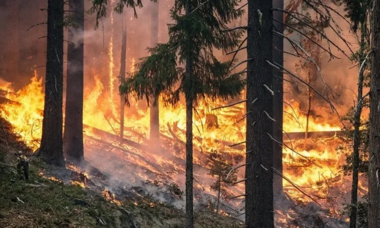 Частично бедствено положение в 4 общини заради големия пожар в Хасковска област - Tribune.bg