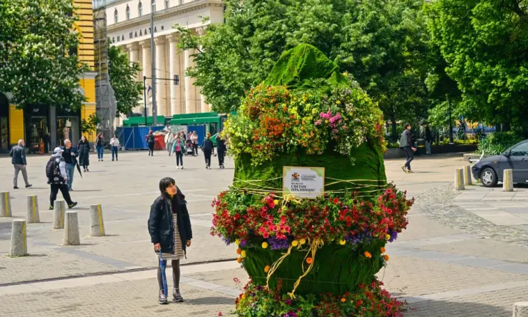Що е то? Хвърлен балатум, къщичка на хобит или Чичко Тревичко - Tribune.bg