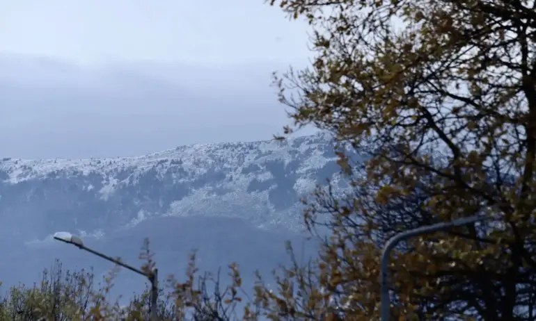 Дъжд, сняг и силен вятър през почивните дни - Tribune.bg
