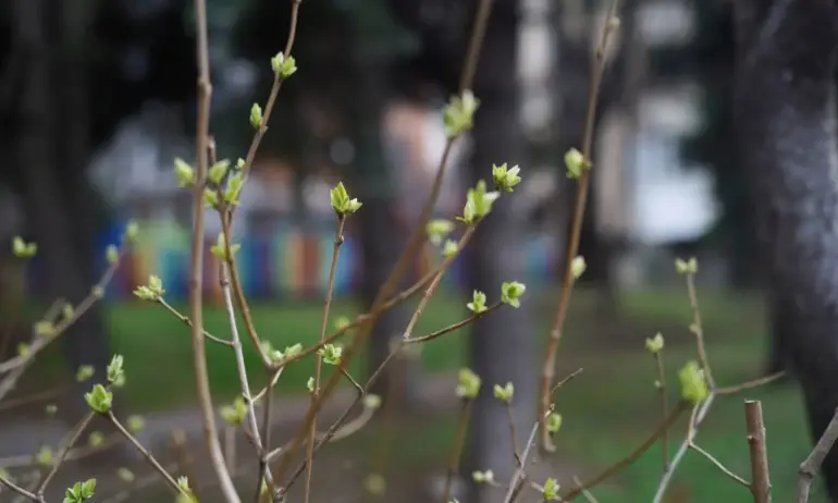 Предимно слънчево с температури до 17 градуса - Tribune.bg