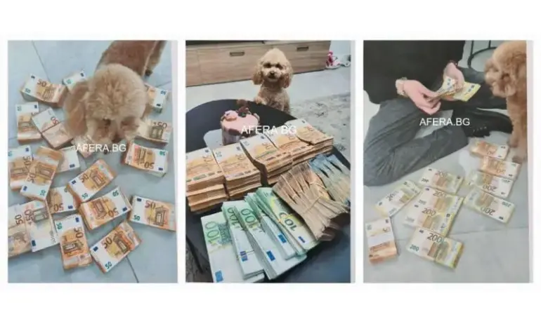Защо махнаха банкнотите от 500 евро? Всичко щеше да е много по-лесно, дори и за кучето - Tribune.bg