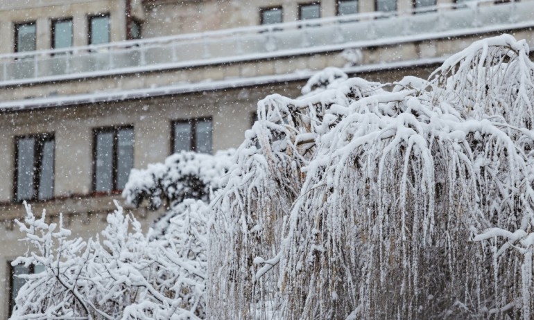 Предимно слънчево, сутринта до минус 9 градуса - Tribune.bg