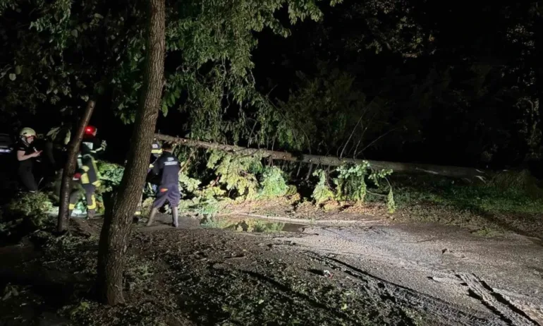 Силна буря в Хисаря, има изкоренени дървета и потрошени коли - Tribune.bg