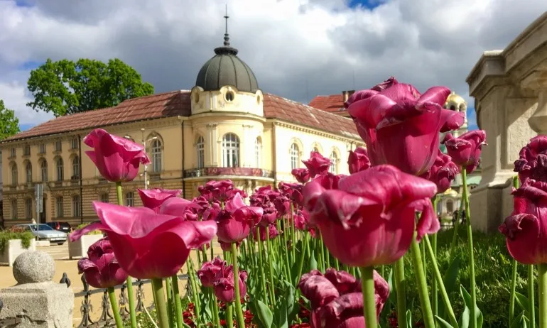 БАН чества 150 години от основаването си - Tribune.bg
