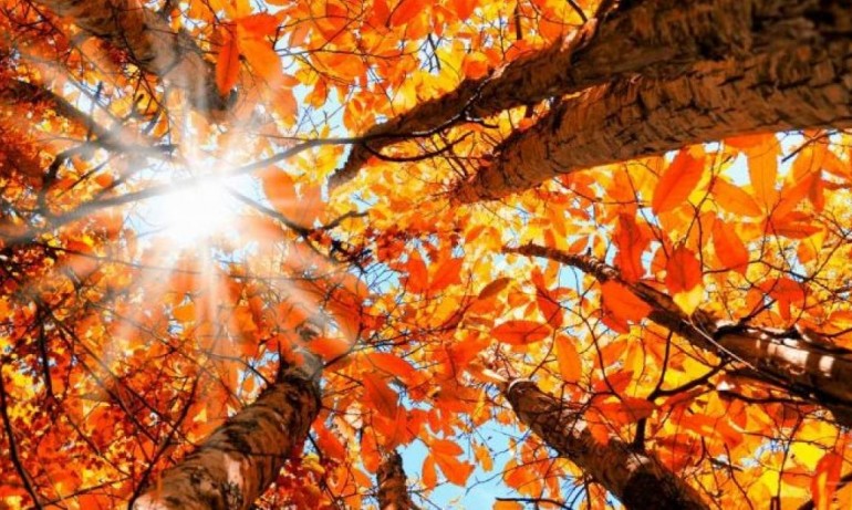 Времето днес: Слънчево с високи температури до 22 градуса - Tribune.bg