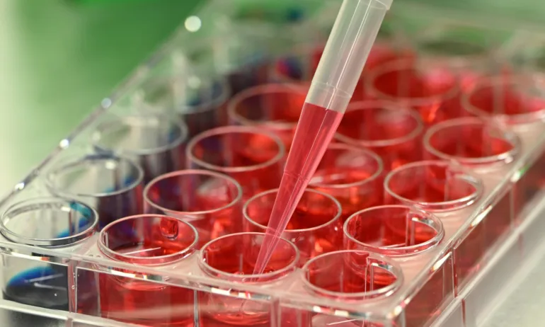 Великобритания одобри адаптирана ваксина срещу различни варианти на COVID-19 - Tribune.bg