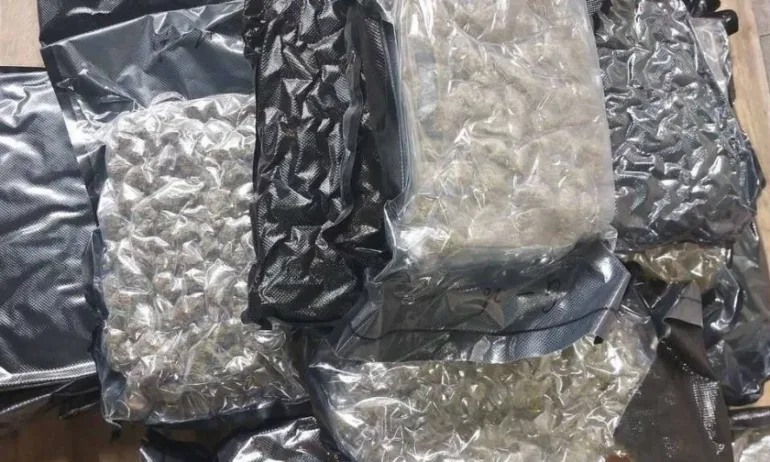 Над килограм марихуана е иззет при поредната успешна акция в столицата - Tribune.bg